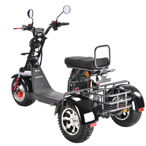 Pro Trike 3000W ECC 45km/h