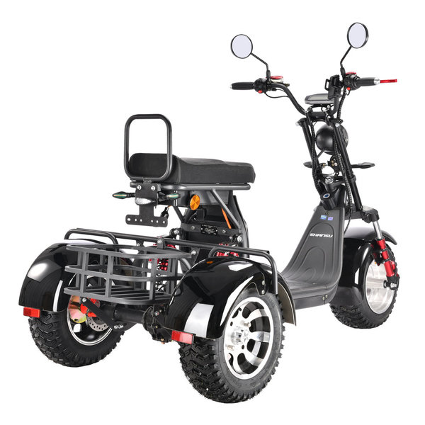 Pro Trike 3000W ECC 45km/h